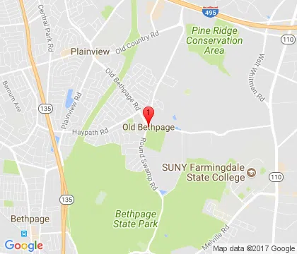 logo-image - old-bethpage-ny